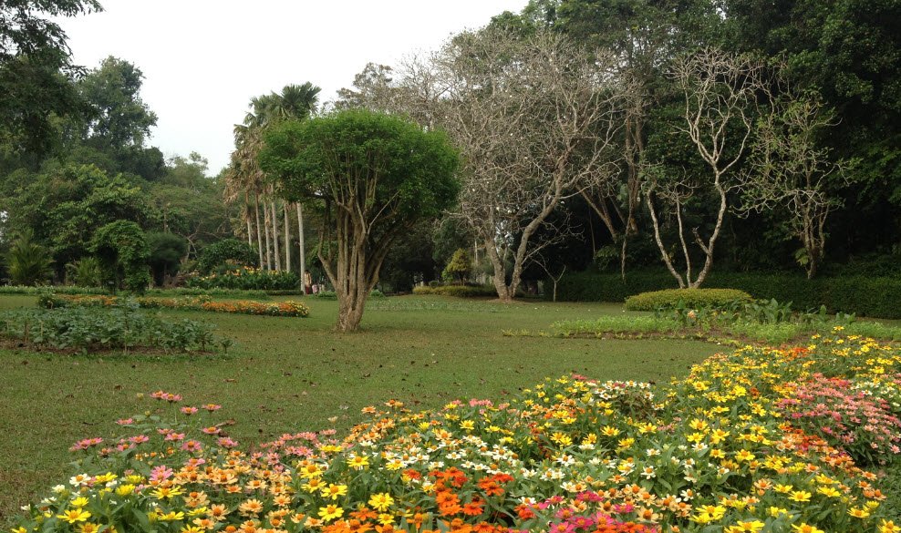 Gampaha Botanical Garden, Sri Lanka